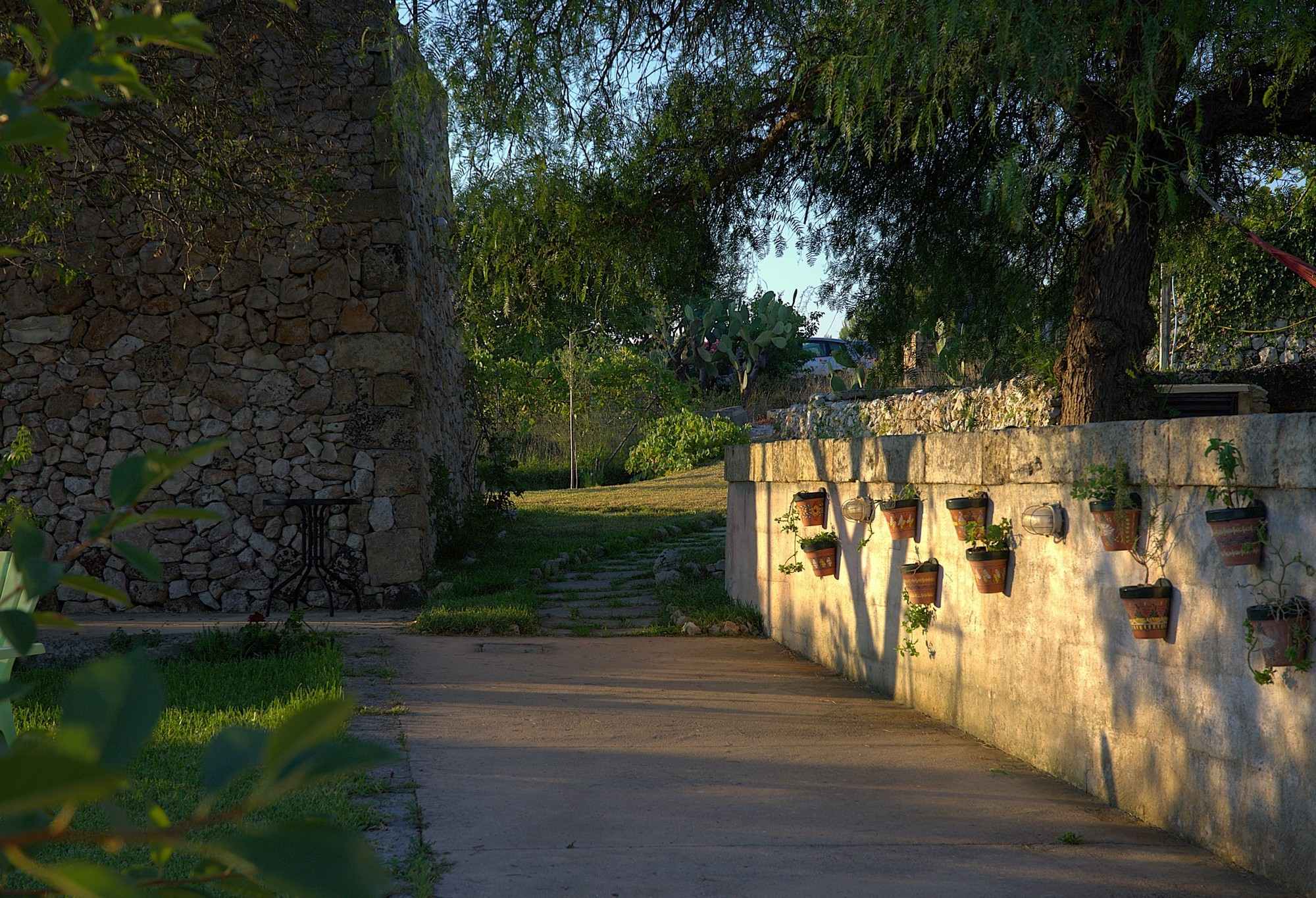 Salento – Ulivi e pietra